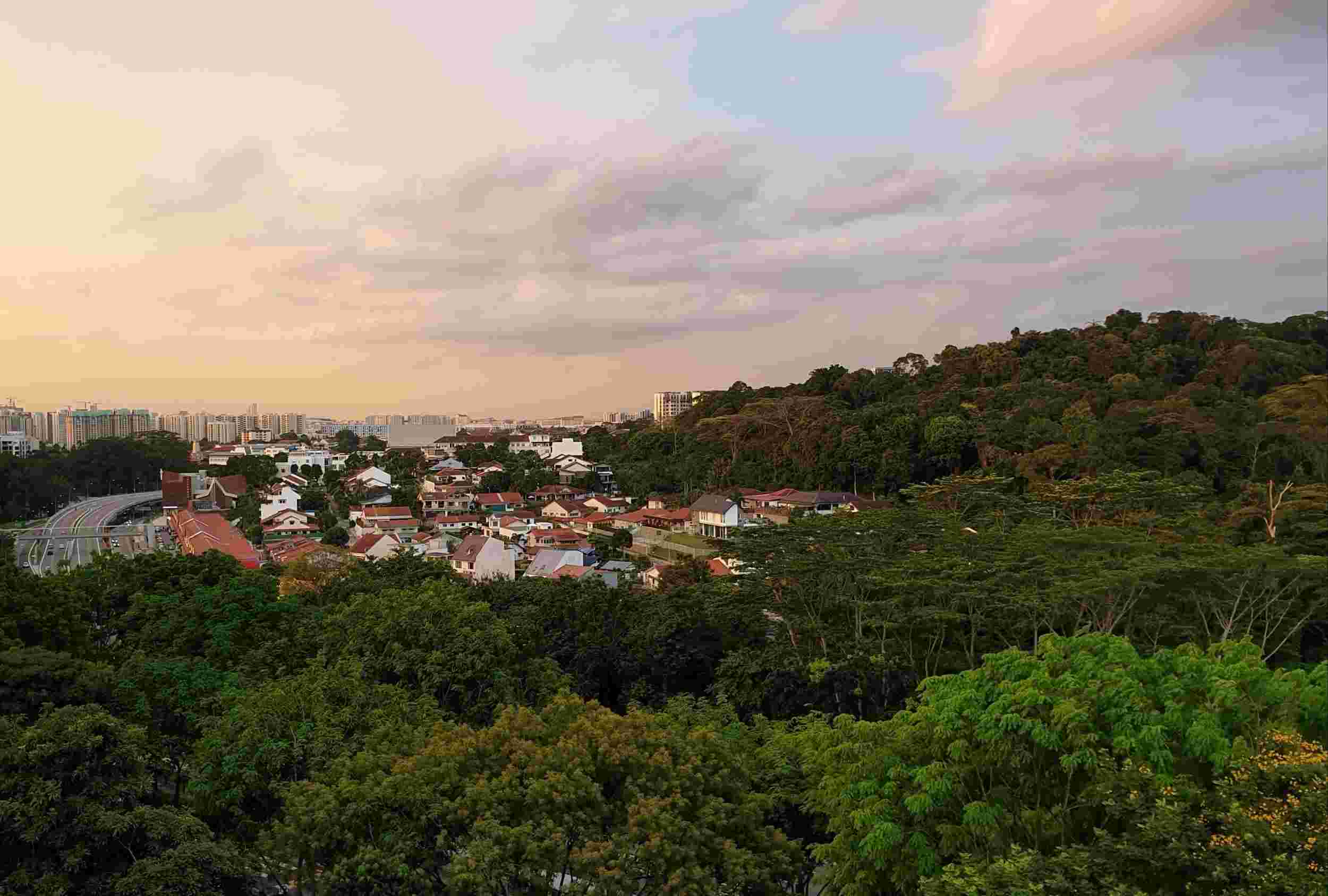 Bukit Timah View